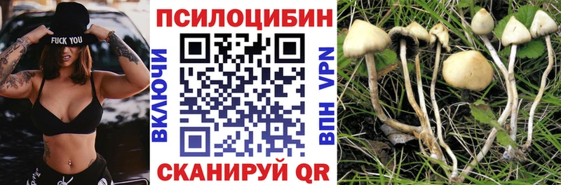 МЕГА сайт  Симферополь  Псилоцибиновые грибы прущие грибы 