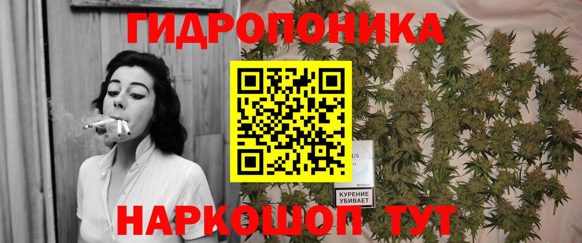Бошки Шишки тримм  Каннабис Bruce Banner  Каннабис сатива  Симферополь  Вход с VPN 